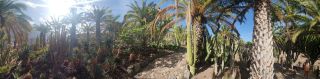 2020-10-GC-Cactualdea-PM-NN-29.jpg
